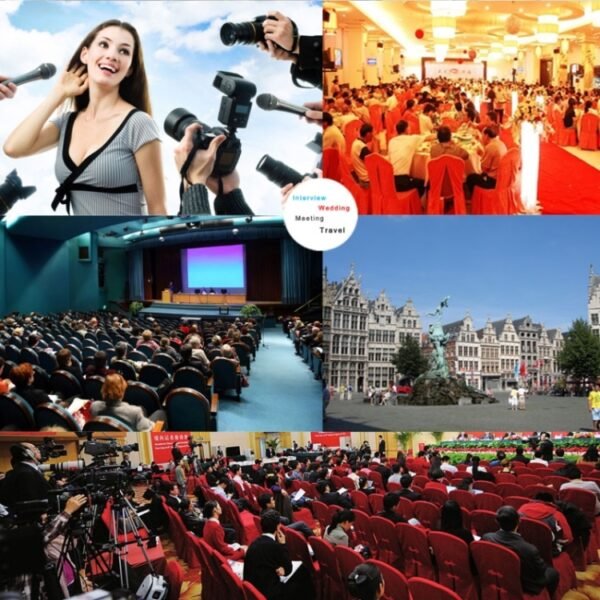 DEBO YS-8 Professional Photography Interview Dedicated Microphone for DSLR & DV Camcorder - Image 10